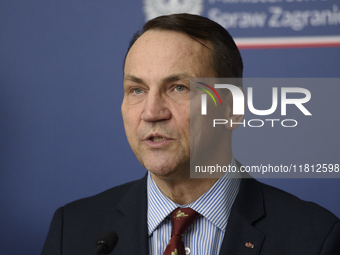 Poland's Minister of Foreign Affairs, Radoslaw Sikorski, speaks as he takes part in a press conference after talks with his Ukrainian counte...