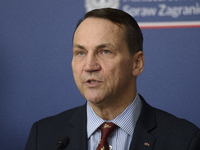 Poland's Minister of Foreign Affairs, Radoslaw Sikorski, speaks as he takes part in a press conference after talks with his Ukrainian counte...