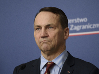 Poland's Minister of Foreign Affairs, Radoslaw Sikorski, looks on as he participates in a press conference after talks with his Ukrainian co...