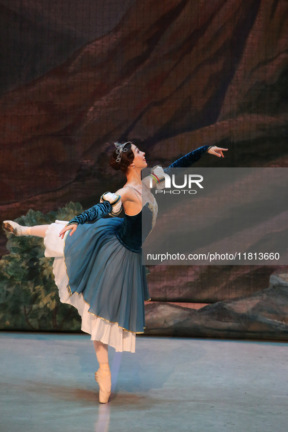 A ballet dancer performs in 'Swan Lake' at the Linkoping Concert & Congress in Linkoping, Sweden, on November 26, 2024. ''Swan Lake'' is syn...