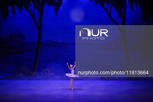 A ballet dancer performs in 'Swan Lake' at the Linkoping Concert & Congress in Linkoping, Sweden, on November 26, 2024. ''Swan Lake'' is syn...