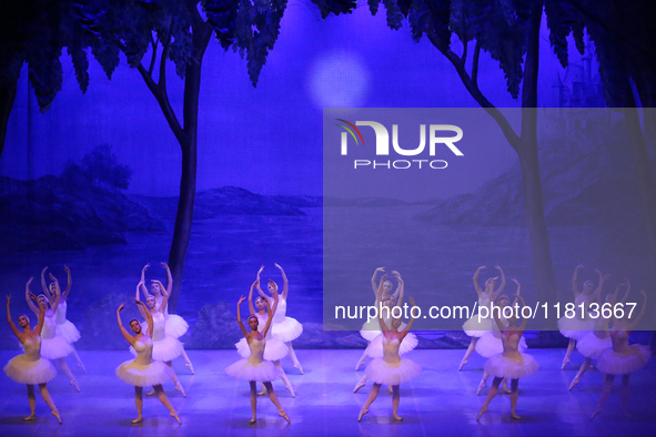 Ballet dancers perform in 'Swan Lake' at the Linkoping Concert & Congress in Linkoping, Sweden, on November 26, 2024. ''Swan Lake'' is synon...