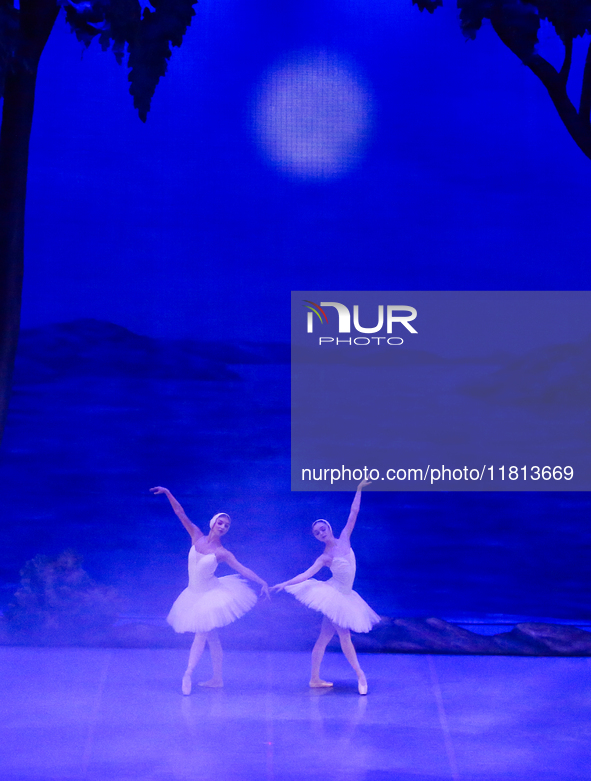 Ballet dancers perform in 'Swan Lake' at the Linkoping Concert & Congress in Linkoping, Sweden, on November 26, 2024. ''Swan Lake'' is synon...