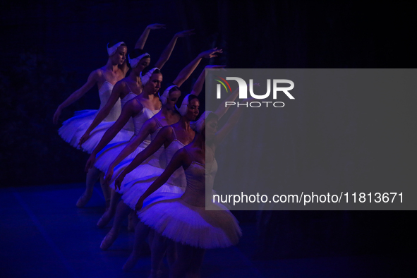 Ballet dancers perform in 'Swan Lake' at the Linkoping Concert & Congress in Linkoping, Sweden, on November 26, 2024. ''Swan Lake'' is synon...