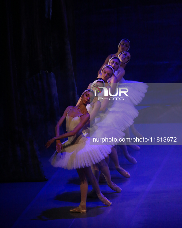 Ballet dancers perform in 'Swan Lake' at the Linkoping Concert & Congress in Linkoping, Sweden, on November 26, 2024. ''Swan Lake'' is synon...