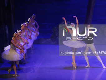 Ballet dancers perform in 'Swan Lake' at the Linkoping Concert & Congress in Linkoping, Sweden, on November 26, 2024. ''Swan Lake'' is synon...