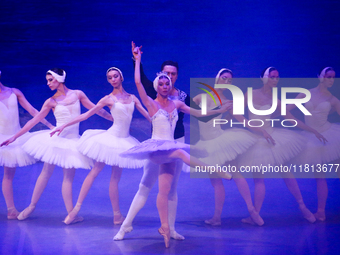 Ballet dancers perform in 'Swan Lake' at the Linkoping Concert & Congress in Linkoping, Sweden, on November 26, 2024. ''Swan Lake'' is synon...