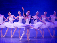 Ballet dancers perform in 'Swan Lake' at the Linkoping Concert & Congress in Linkoping, Sweden, on November 26, 2024. ''Swan Lake'' is synon...