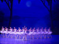 Ballet dancers perform in 'Swan Lake' at the Linkoping Concert & Congress in Linkoping, Sweden, on November 26, 2024. ''Swan Lake'' is synon...