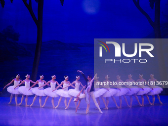 Ballet dancers perform in 'Swan Lake' at the Linkoping Concert & Congress in Linkoping, Sweden, on November 26, 2024. ''Swan Lake'' is synon...