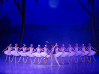 Ballet dancers perform in 'Swan Lake' at the Linkoping Concert & Congress in Linkoping, Sweden, on November 26, 2024. ''Swan Lake'' is synon...