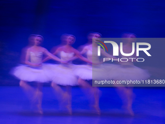 Ballet dancers perform in 'Swan Lake' at the Linkoping Concert & Congress in Linkoping, Sweden, on November 26, 2024. ''Swan Lake'' is synon...