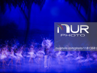 Ballet dancers perform in 'Swan Lake' at the Linkoping Concert & Congress in Linkoping, Sweden, on November 26, 2024. ''Swan Lake'' is synon...