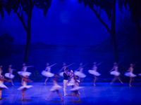 Ballet dancers perform in 'Swan Lake' at the Linkoping Concert & Congress in Linkoping, Sweden, on November 26, 2024. ''Swan Lake'' is synon...