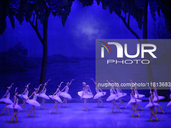 Ballet dancers perform in 'Swan Lake' at the Linkoping Concert & Congress in Linkoping, Sweden, on November 26, 2024. ''Swan Lake'' is synon...