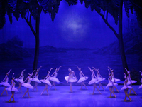 Ballet dancers perform in 'Swan Lake' at the Linkoping Concert & Congress in Linkoping, Sweden, on November 26, 2024. ''Swan Lake'' is synon...