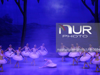 Ballet dancers perform in 'Swan Lake' at the Linkoping Concert & Congress in Linkoping, Sweden, on November 26, 2024. ''Swan Lake'' is synon...