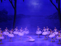 Ballet dancers perform in 'Swan Lake' at the Linkoping Concert & Congress in Linkoping, Sweden, on November 26, 2024. ''Swan Lake'' is synon...