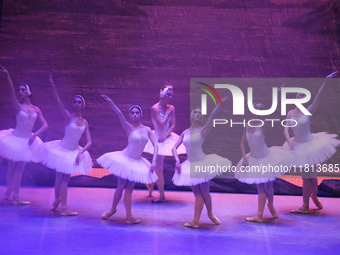 Ballet dancers perform in 'Swan Lake' at the Linkoping Concert & Congress in Linkoping, Sweden, on November 26, 2024. ''Swan Lake'' is synon...