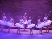 Ballet dancers perform in 'Swan Lake' at the Linkoping Concert & Congress in Linkoping, Sweden, on November 26, 2024. ''Swan Lake'' is synon...