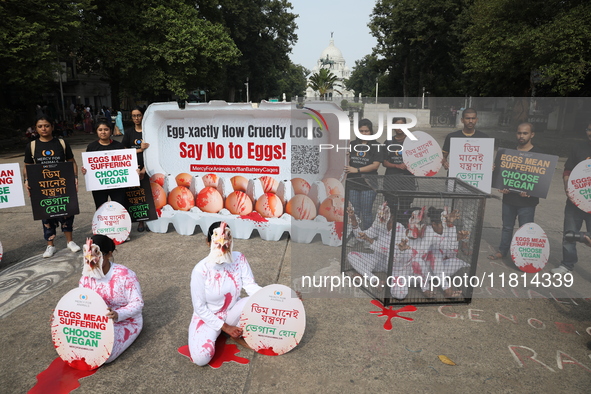 Activists perform near the iconic Victoria Memorial (background) in Kolkata, India, on November 27, 2024. The performance is for Mercy For A...