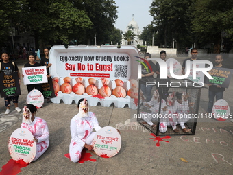 Activists perform near the iconic Victoria Memorial (background) in Kolkata, India, on November 27, 2024. The performance is for Mercy For A...