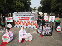 Activists perform near the iconic Victoria Memorial (background) in Kolkata, India, on November 27, 2024. The performance is for Mercy For A...