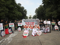 Activists perform near the iconic Victoria Memorial (background) in Kolkata, India, on November 27, 2024. The performance is for Mercy For A...