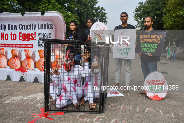 Activists of Mercy for Animals India wear chicken costumes during a protest demonstration against the use and consumption of eggs and to spr...