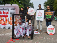 Activists of Mercy for Animals India wear chicken costumes during a protest demonstration against the use and consumption of eggs and to spr...