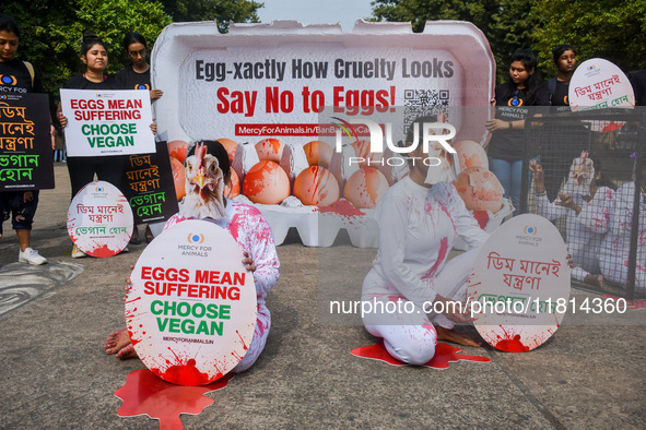 Activists of Mercy for Animals India wear chicken costumes during a protest demonstration against the use and consumption of eggs and to spr...