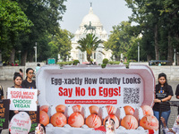 Activists of Mercy for Animals India wear chicken costumes during a protest demonstration against the use and consumption of eggs and to spr...