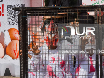 Activists of Mercy for Animals India wear chicken costumes during a protest demonstration against the use and consumption of eggs and to spr...