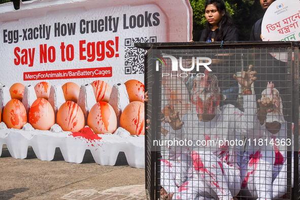 Activists of Mercy for Animals India wear chicken costumes during a protest demonstration against the use and consumption of eggs and to spr...