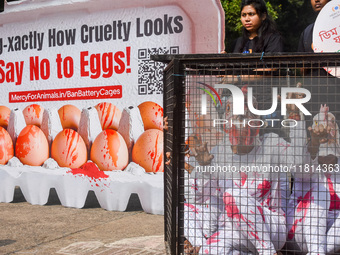 Activists of Mercy for Animals India wear chicken costumes during a protest demonstration against the use and consumption of eggs and to spr...