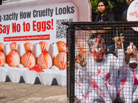 Activists of Mercy for Animals India wear chicken costumes during a protest demonstration against the use and consumption of eggs and to spr...