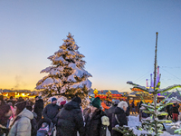 A snow-covered scene at the Winter Tollwood Festival on December 3, 2023, in Munich, Germany, shows the event's focus on art, culture, and s...