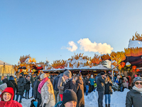 A snow-covered scene at the Winter Tollwood Festival on December 3, 2023, in Munich, Germany, shows the event's focus on art, culture, and s...