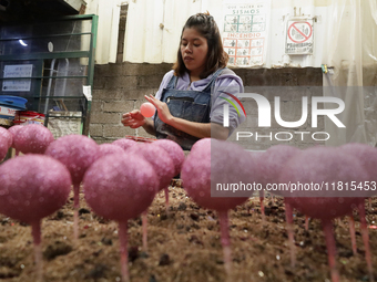 Inside a workshop and cooperative in the Tlahuac municipality, Mexico City, on November 27, 2024, artisans make spheres from blown glass for...