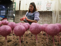 Inside a workshop and cooperative in the Tlahuac municipality, Mexico City, on November 27, 2024, artisans make spheres from blown glass for...