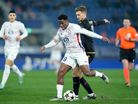 Jonathan David of LOSC Lille and Stefan Posch of Bologna FC during the UEFA Champions League 2024/25 League Phase MD5 match between Bologna...