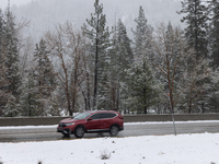 A winter storm brings chain control and delays on Interstate 80 East near Cisco Grove, Calif., on November 27, 2024. (