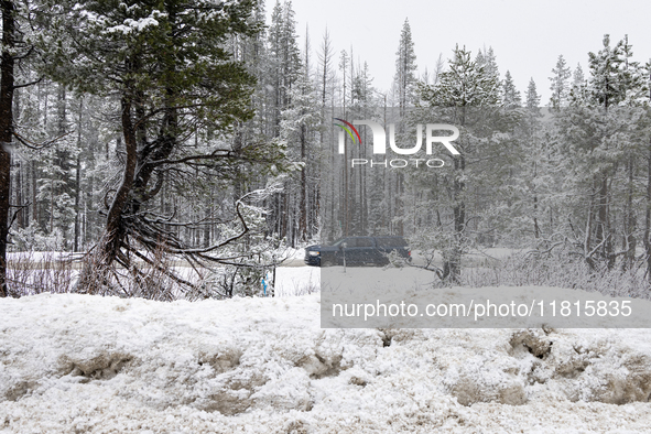 A winter storm brings chain control and delays on Interstate 80 East near Cisco Grove, California, on November 26, 2024. 