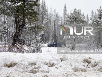 A winter storm brings chain control and delays on Interstate 80 East near Cisco Grove, California, on November 26, 2024. (