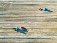 Large machinery levels the land at a high-standard farmland construction site in Weili County, Bayingoleng Mongolian Autonomous Prefecture,...