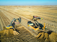 Large machinery levels the land at a high-standard farmland construction site in Weili County, Bayingoleng Mongolian Autonomous Prefecture,...