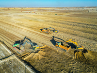 Large machinery levels the land at a high-standard farmland construction site in Weili County, Bayingoleng Mongolian Autonomous Prefecture,...