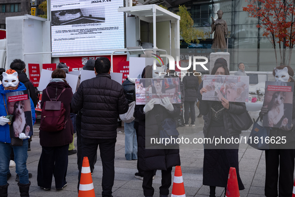 Members of the animal rights group CARE gather near the Chinese Embassy in Myeong-dong to call for the enactment of animal protection laws i...