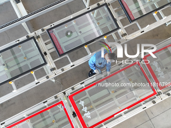 A worker checks the door of a display cabinet at Qingdao Hailong Commercial Cold Chain Co LTD in Qingdao, China, on November 28, 2024. (