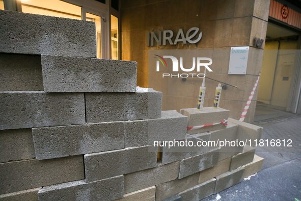 French farmers construct a symbolic wall in front of the French National Institute for Agricultural Research (INRAE) head office to represen...